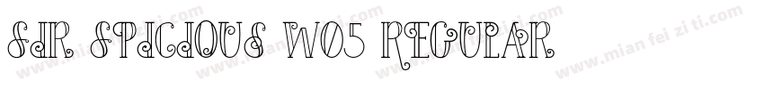 Sir Spicious W05 Regular字体转换